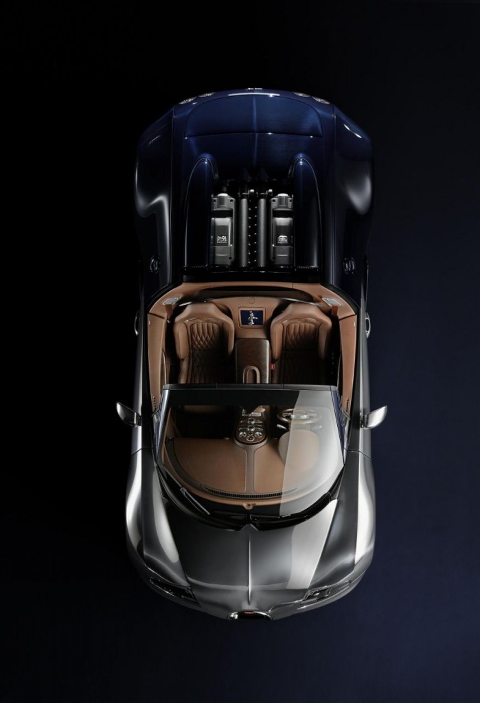 Bugatti Vitesse Legend Edition  (11)