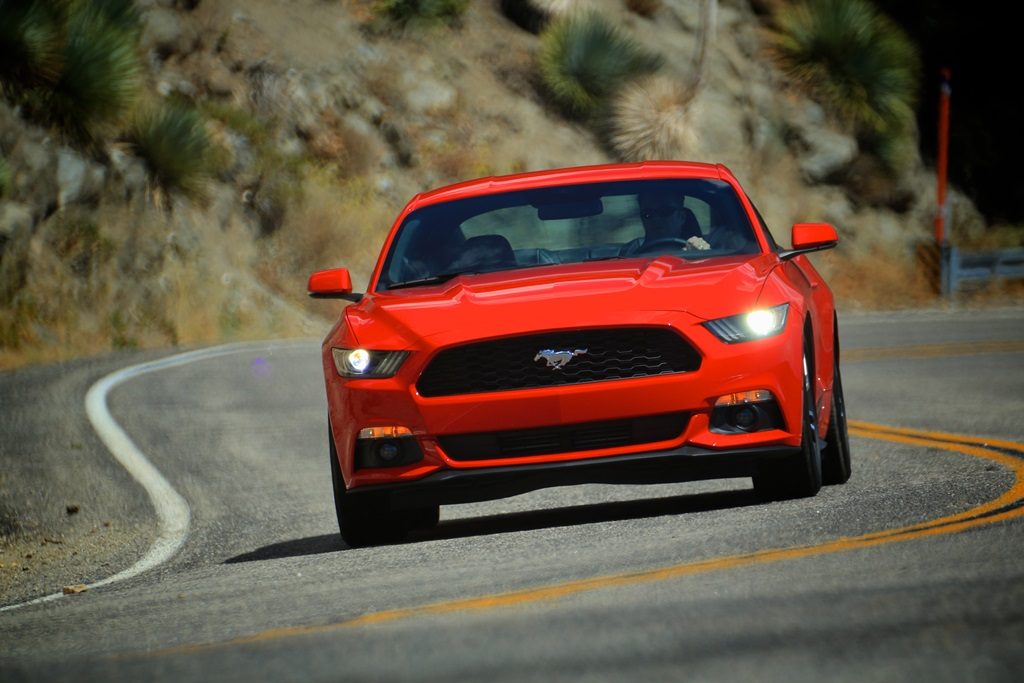 Mustang_Action Shot