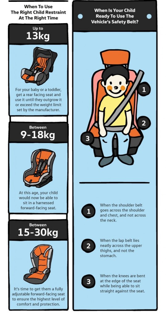 buckleup infographics - 2