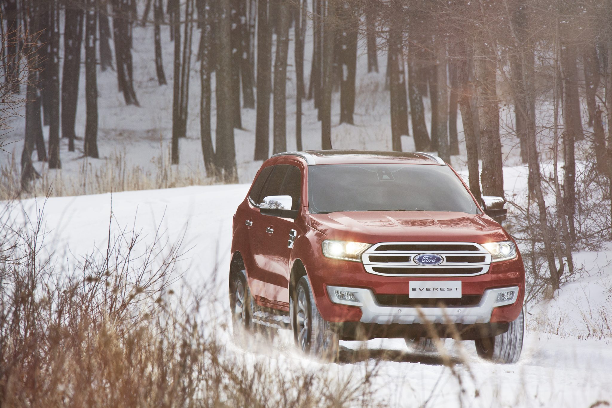 New Ford Everest-Snow