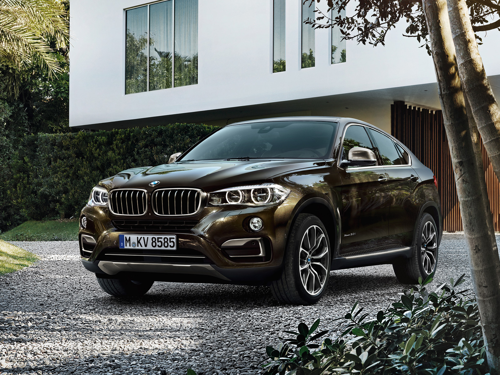 BMW_X6_6