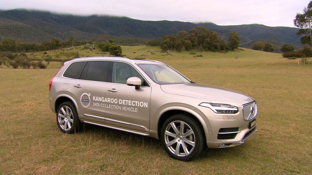 Volvo Cars begins first ever Australian tests for kangaroo safety research