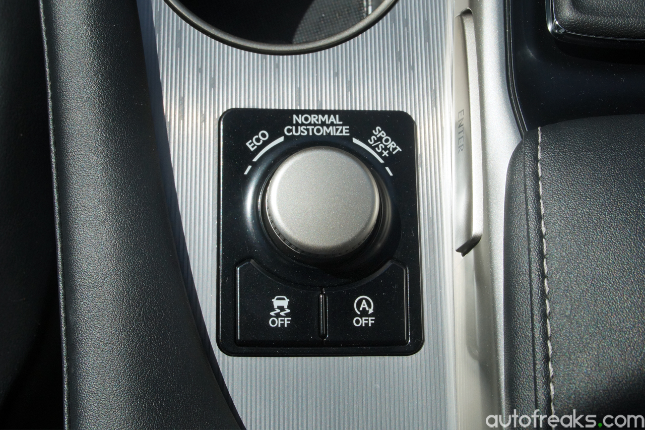 Lexus_RX200t_F_Sport_Review (16)