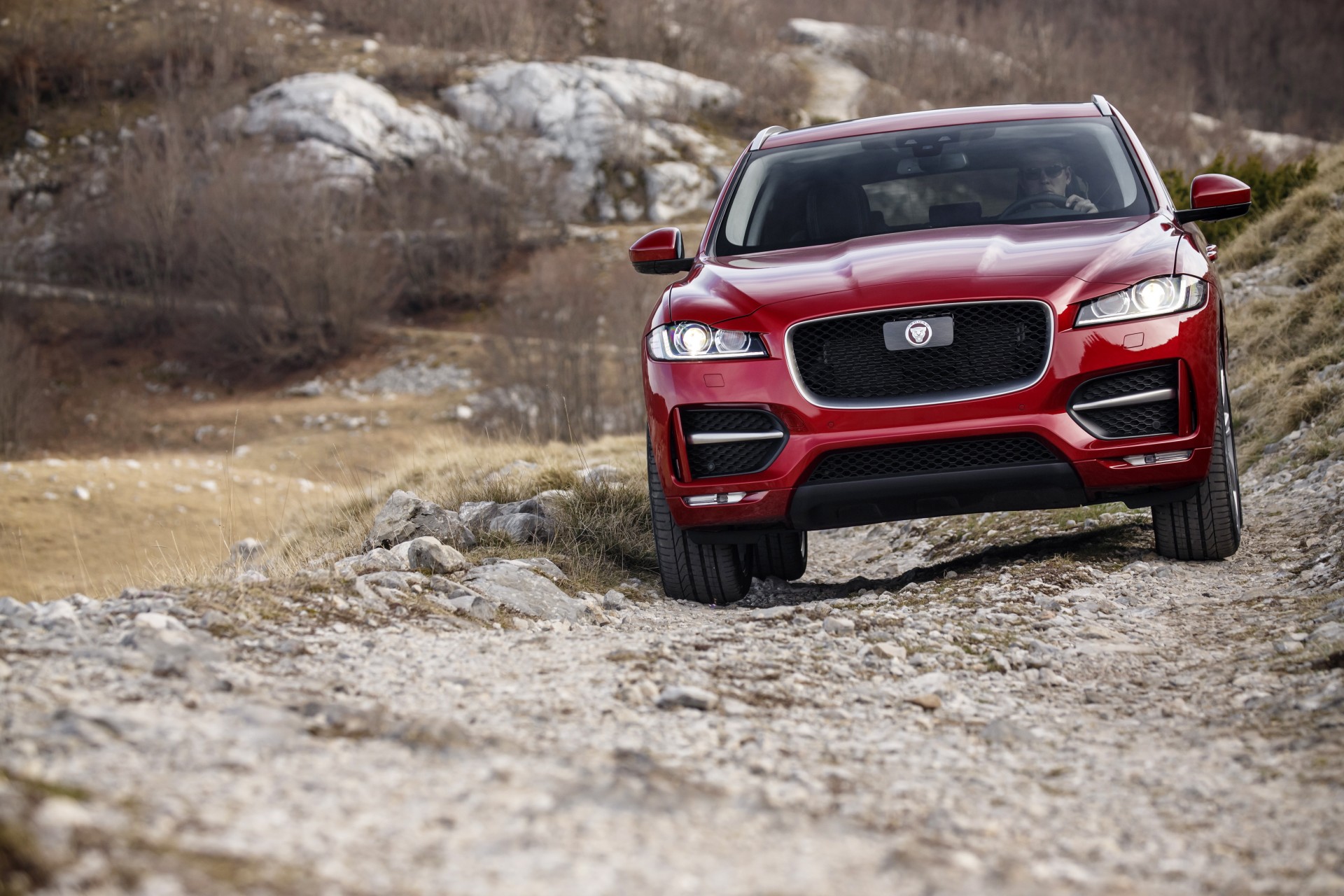 Jaguar_F-Pace (14)