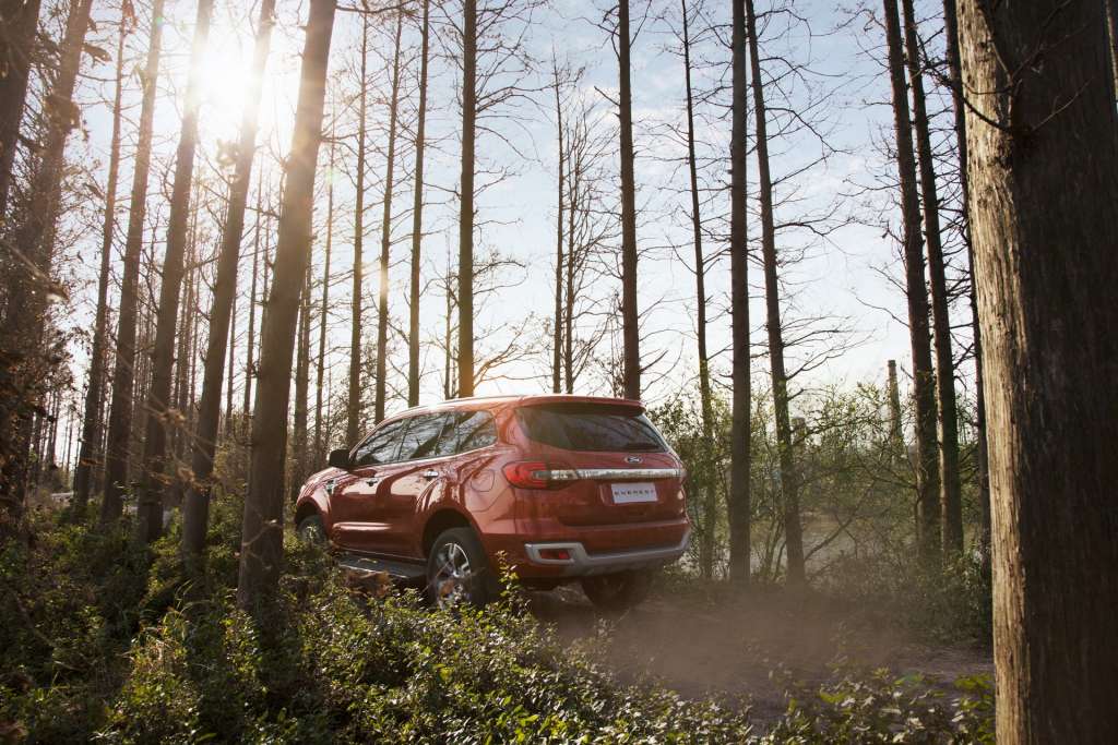 New Ford Everest_Forest